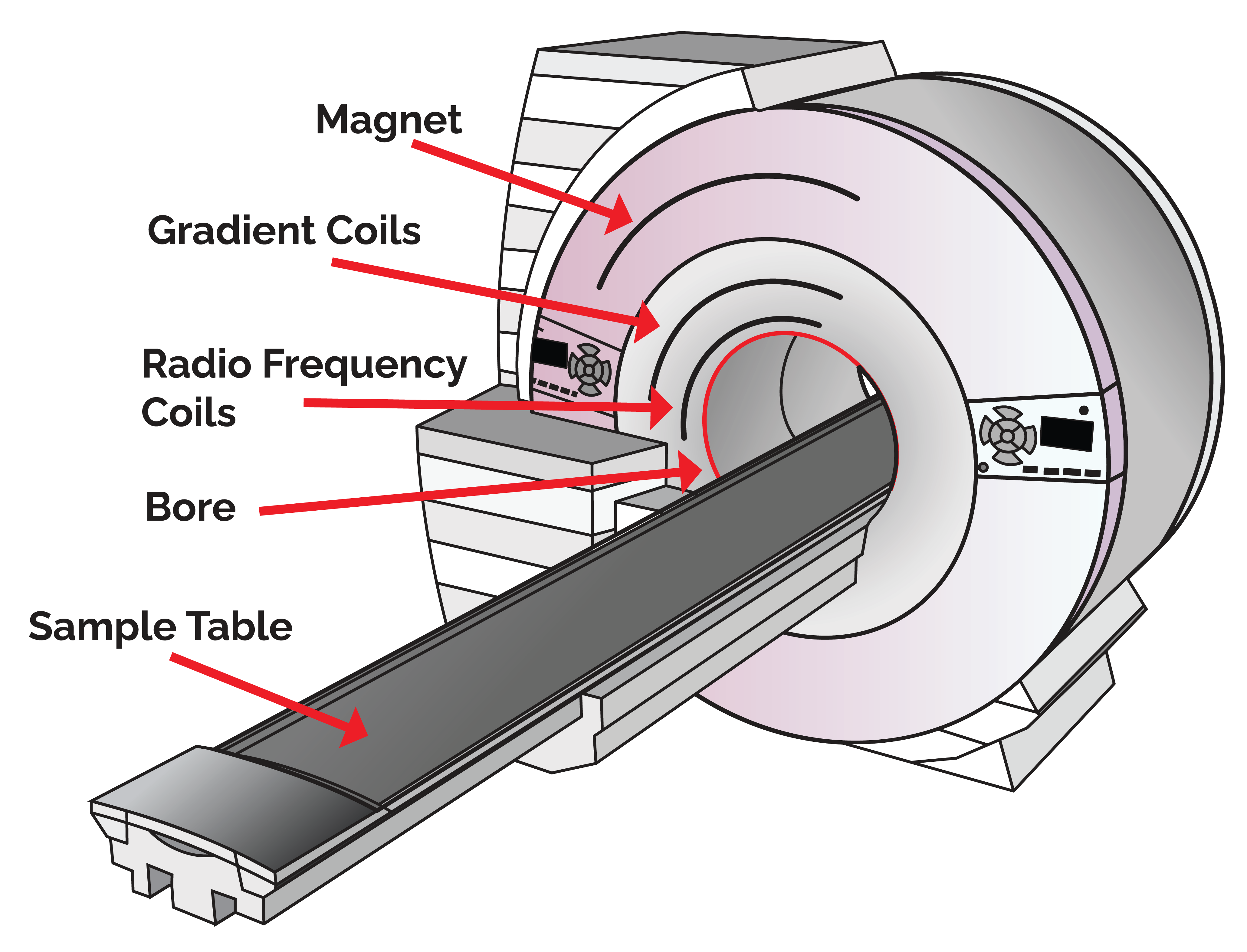 parts of an MRI